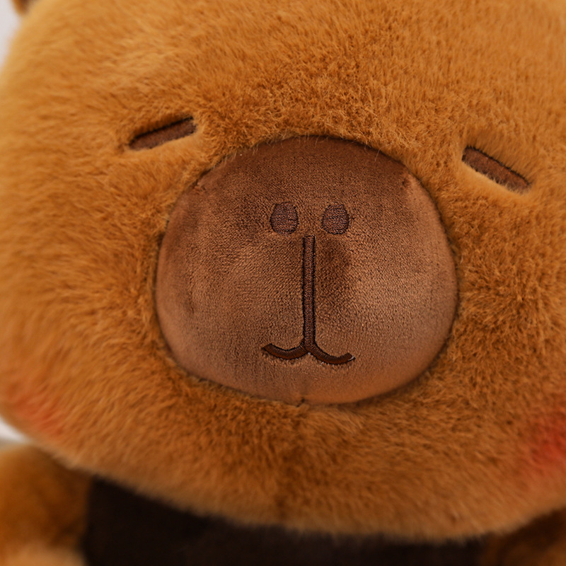New Capybara Plush Toy Stuffed - огляд і ціна Best Kids Toys Xmas